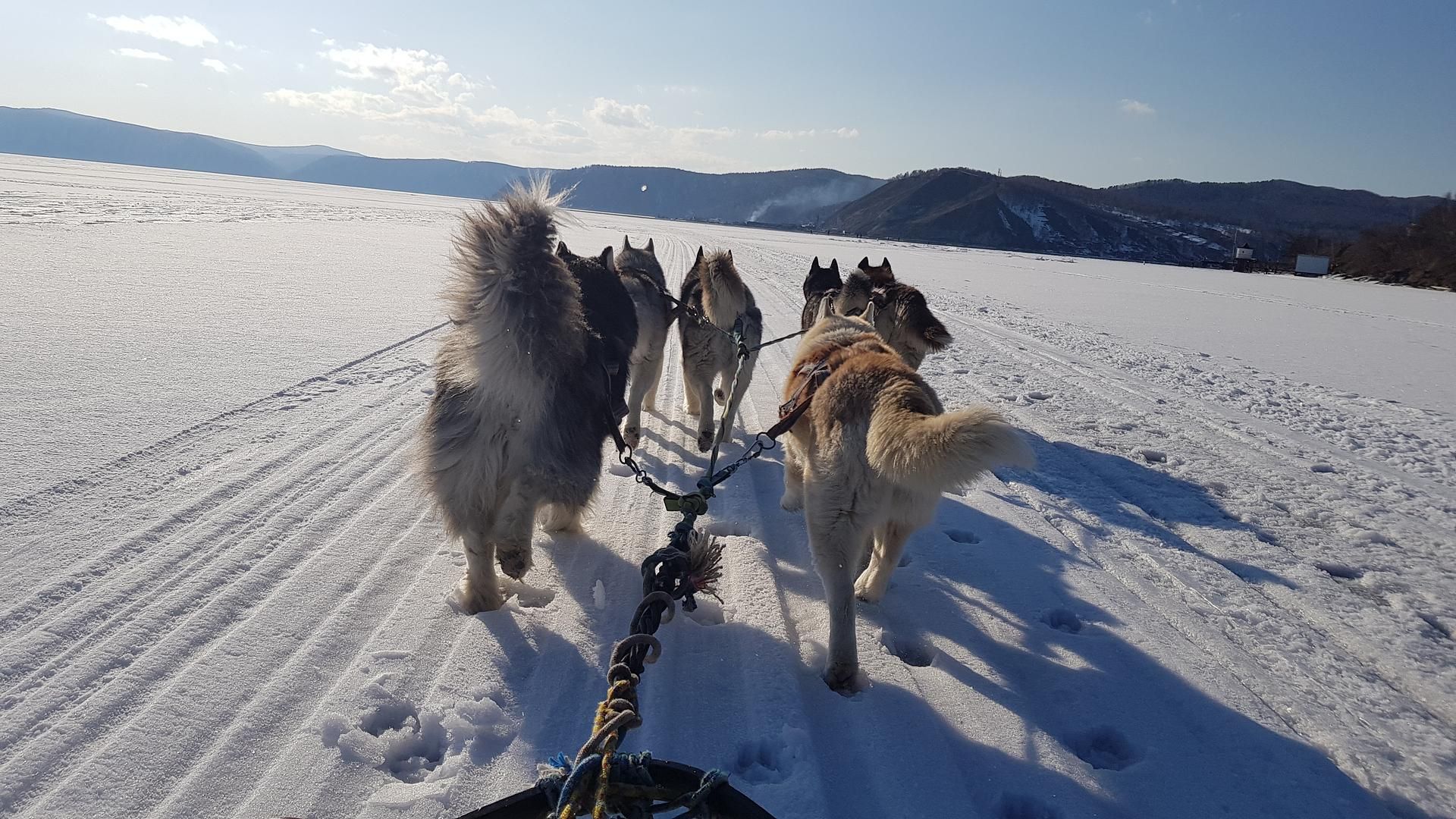 Кристальный лёд Байкала